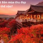 Cảnh đẹp Nhật Bản mùa thu đẹp như thế nào?